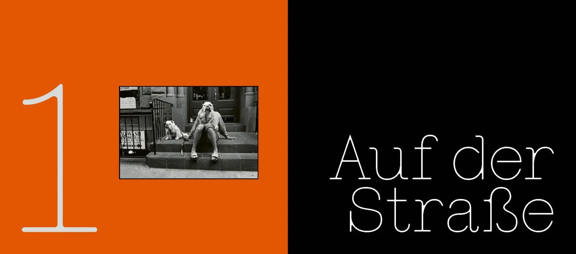 Bild: 9783832199913 | HUNDE | Fotografien aus dem Magnum-Archiv | Magnum Photos | Buch