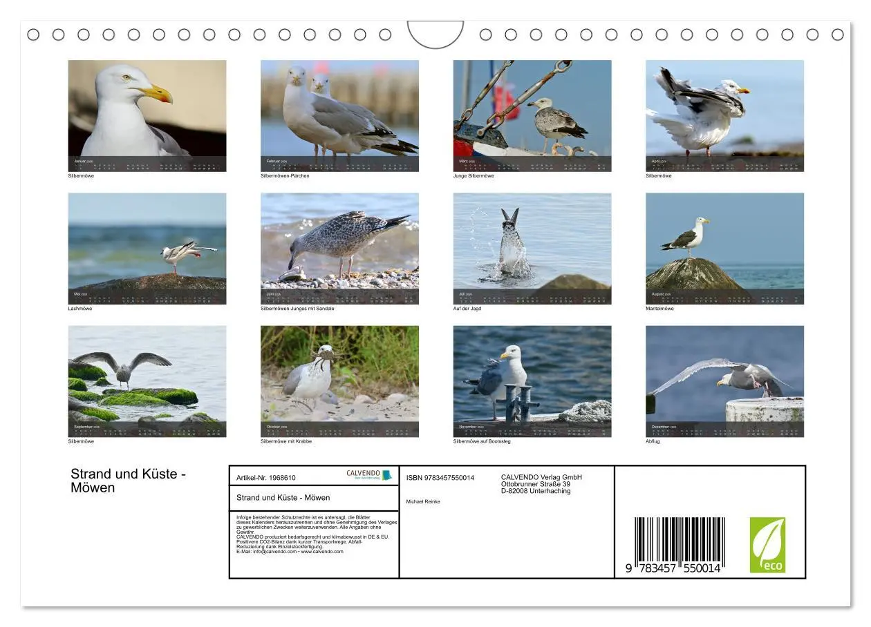 Bild: 9783457550014 | Strand und Küste - Möwen (Wandkalender 2026 DIN A4 quer), CALVENDO...