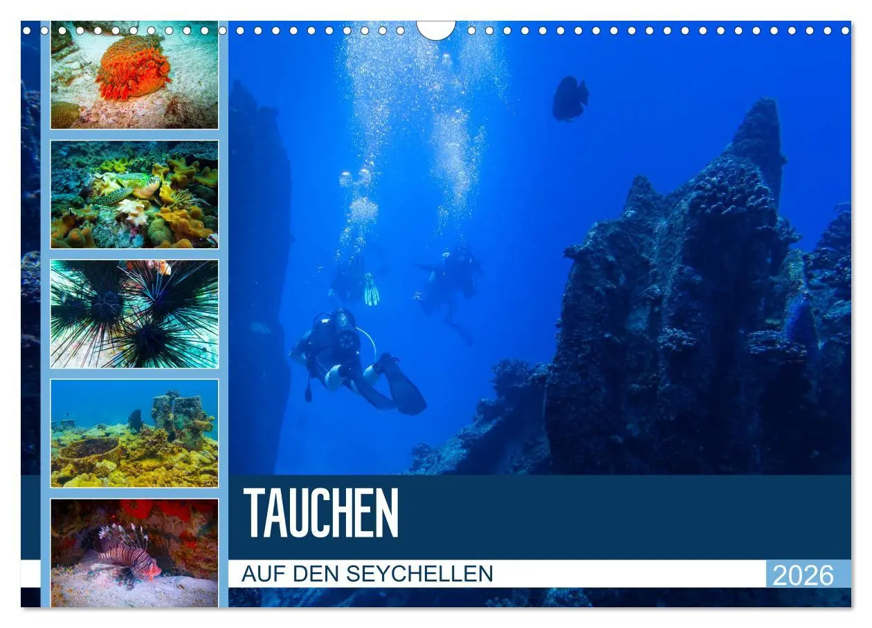 Cover: 9783457860014 | Tauchen auf den Sychellen (Wandkalender 2026 DIN A3 quer), CALVENDO...