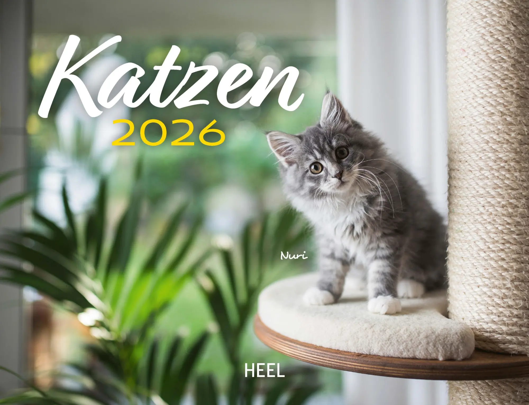 Cover: 9783690190114 | Kalender Katzen 2026 Eintragkalender | Kalender | 14 S. | Deutsch