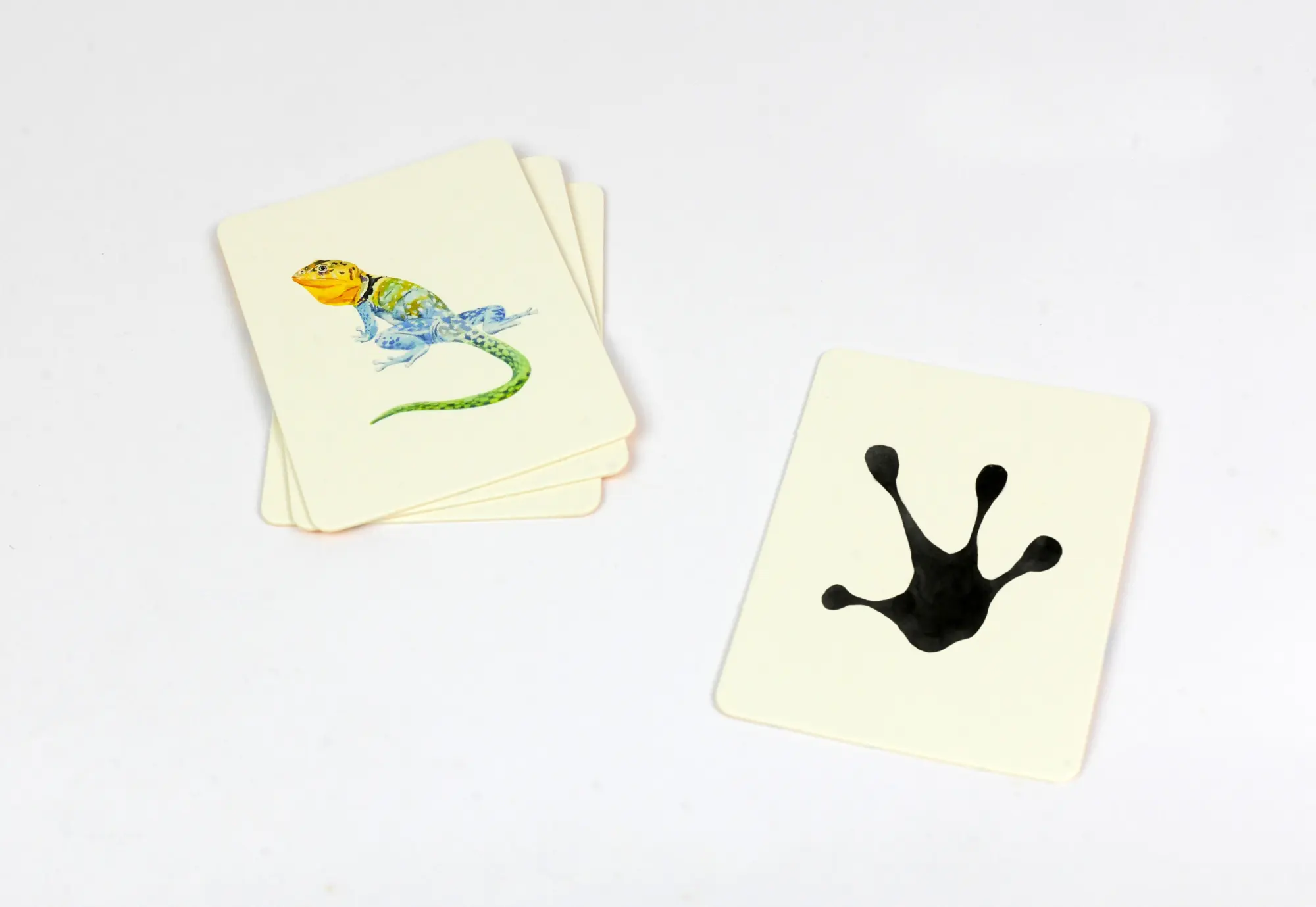 Bild: 9783962440114 | Wilden Tieren auf der Spur | Marcel George | Spiel | 50 S. | Deutsch