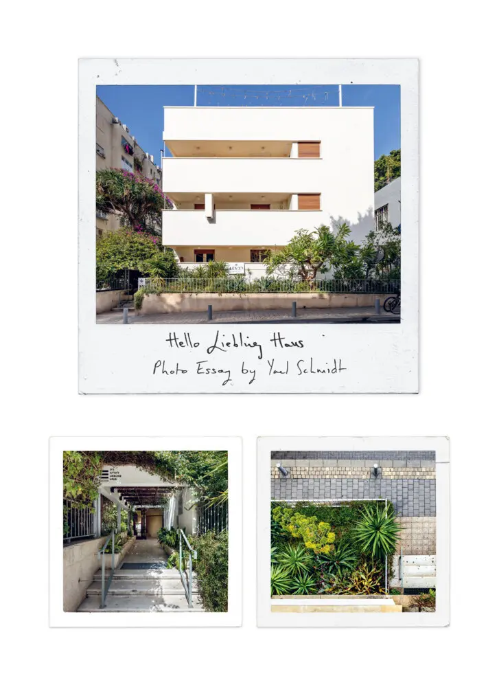 Bild: 9783986120214 | The Liebling Haus | Sharon Golan (u. a.) | Taschenbuch | 180 S. | 2024