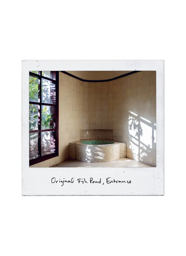Bild: 9783986120214 | The Liebling Haus | Sharon Golan (u. a.) | Taschenbuch | 180 S. | 2024