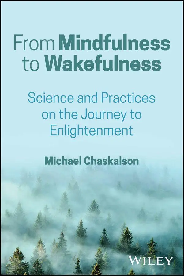 Cover: 9781394360314 | From Mindfulness to Wakefulness | Michael Chaskalson | Taschenbuch