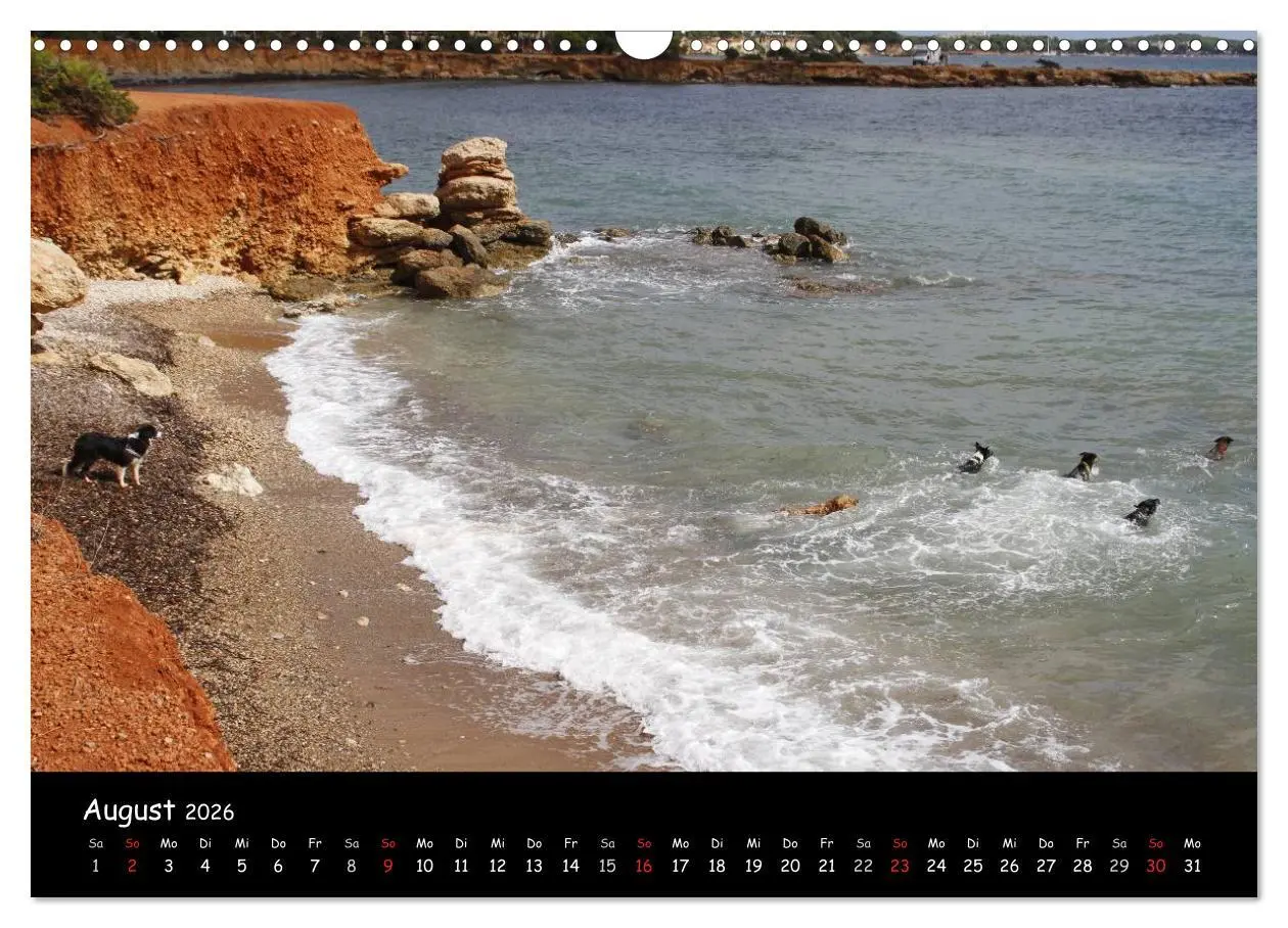 Bild: 9783516230314 | Zauberhaftes Ibiza (Wandkalender 2026 DIN A3 quer), CALVENDO...