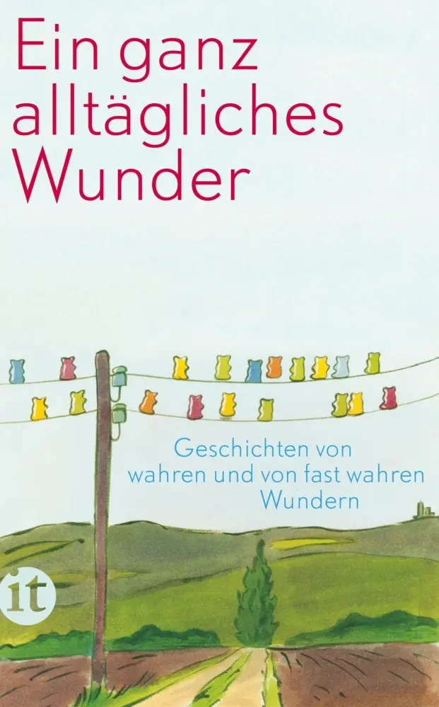 Cover: 9783458360414 | Ein ganz alltägliches Wunder | Clara Paul | Taschenbuch | 294 S.