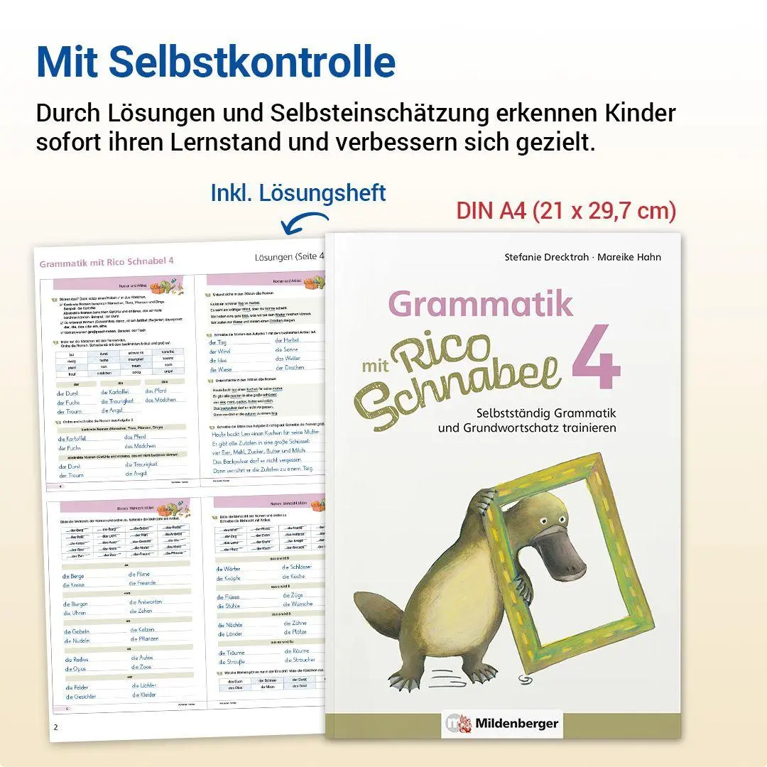 Bild: 9783619420414 | Grammatik mit Rico Schnabel, Klasse 4 | Stefanie Drecktrah (u. a.)