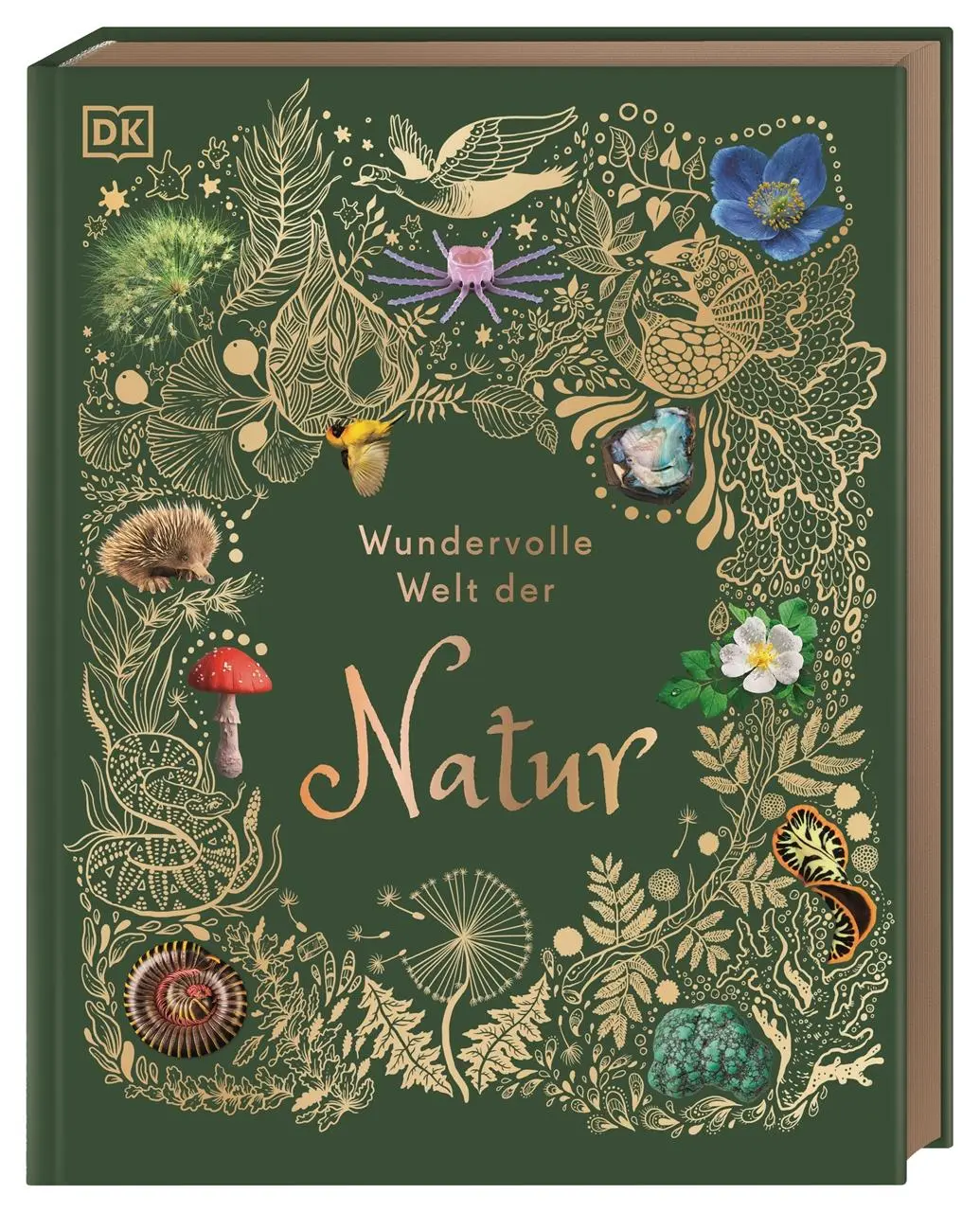 Cover: 9783831040414 | Wundervolle Welt der Natur | Ben Hoare | Buch | Wundervolle Welt