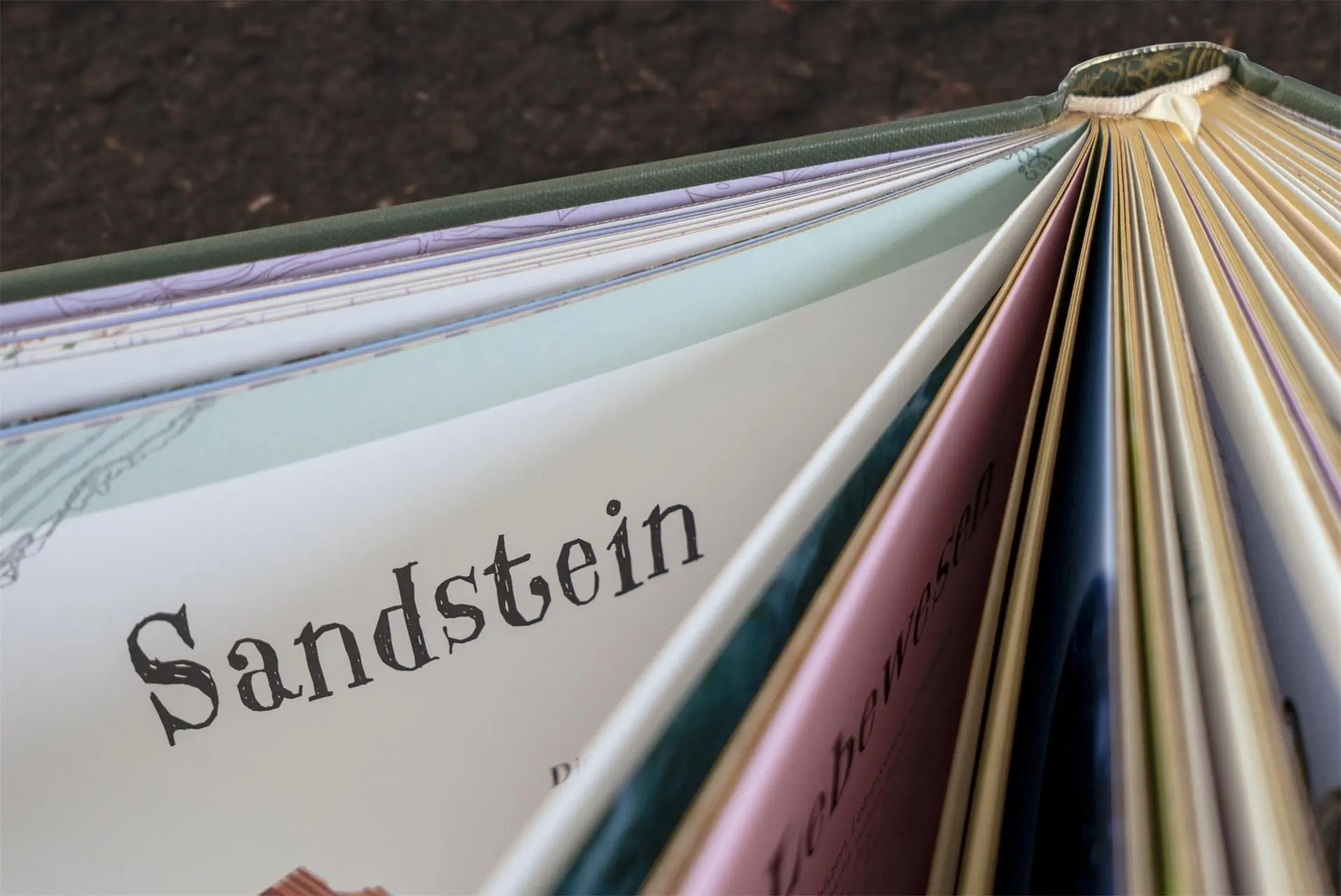 Bild: 9783831040414 | Wundervolle Welt der Natur | Ben Hoare | Buch | Wundervolle Welt