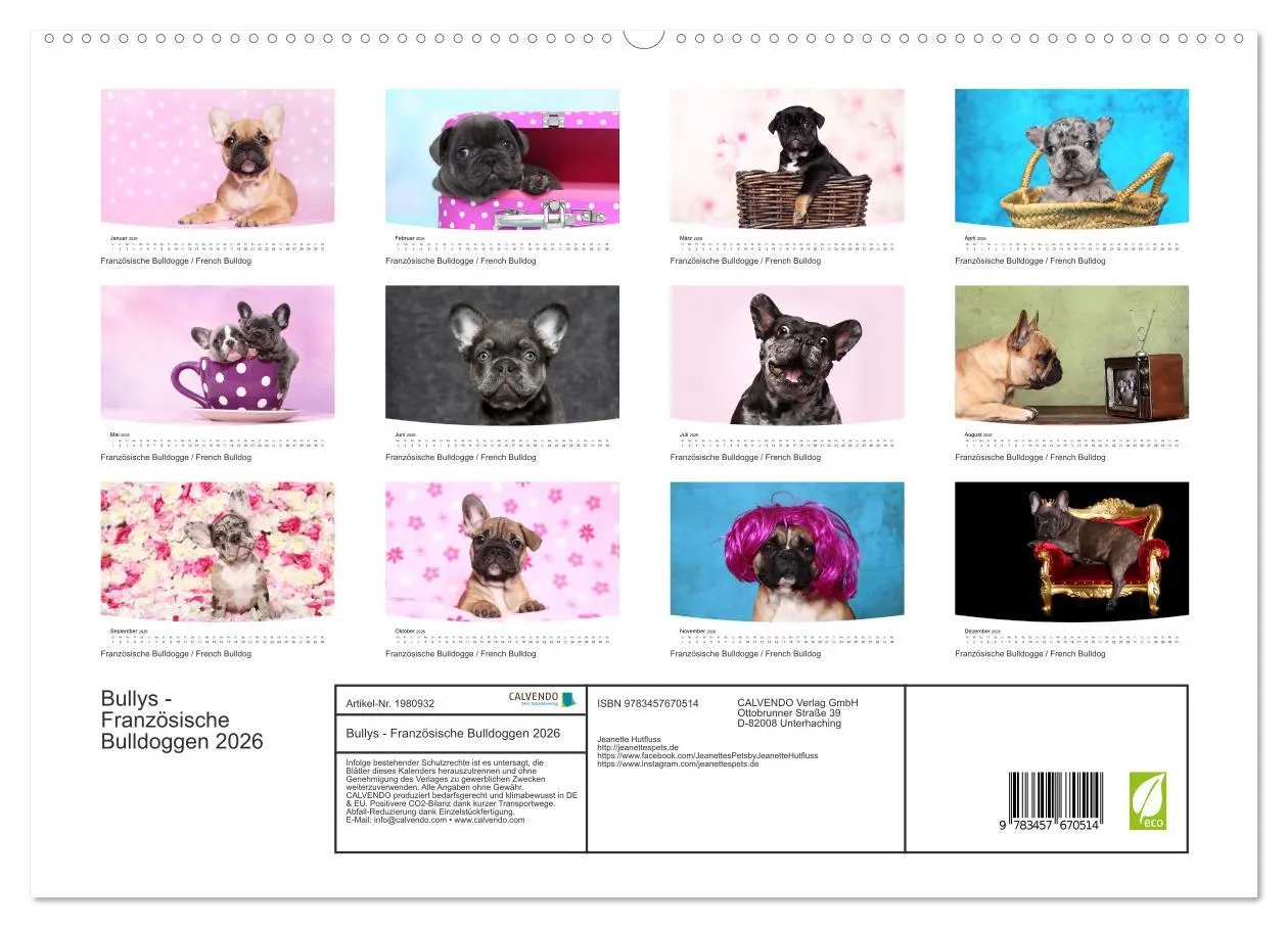 Bild: 9783457670514 | Bullys - Französische Bulldoggen 2026 (hochwertiger Premium...