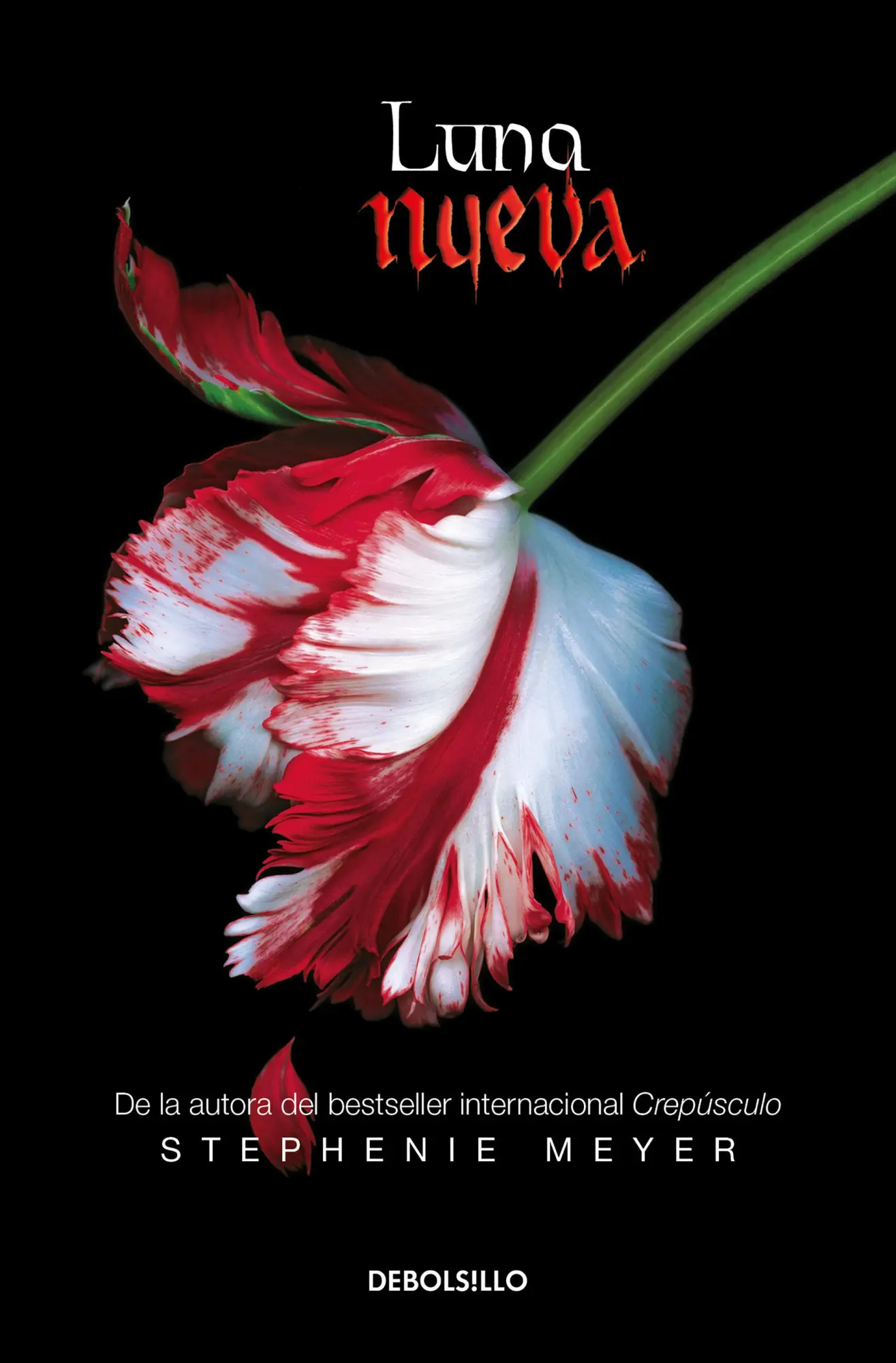 Cover: 9786073150514 | Luna Nueva / New Moon | Stephenie Meyer | Taschenbuch | Spanisch