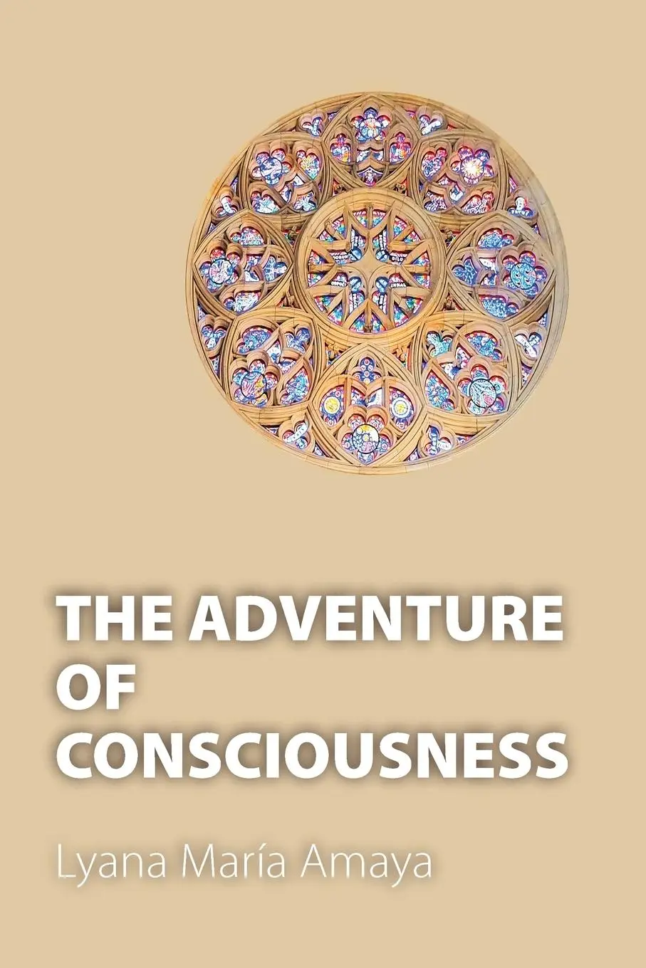 Cover: 9798897270514 | THE ADVENTURE OF CONSCIOUSNESS | Lyana María Amaya | Taschenbuch