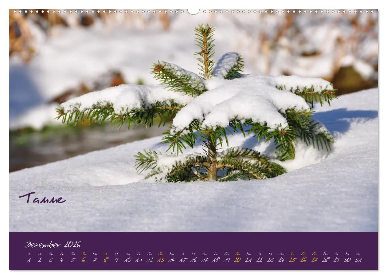 Bild: 9783516130614 | Heilkräuterkalender (hochwertiger Premium Wandkalender 2026 DIN A2...