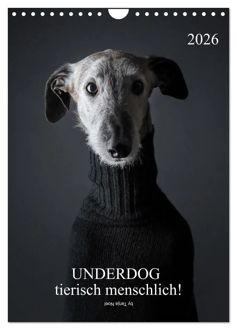 Cover: 9783516370614 | UNDERDOG - Windhundportraits (Wandkalender 2026 DIN A4 hoch),...