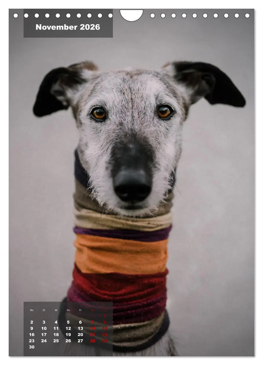 Bild: 9783516370614 | UNDERDOG - Windhundportraits (Wandkalender 2026 DIN A4 hoch),...