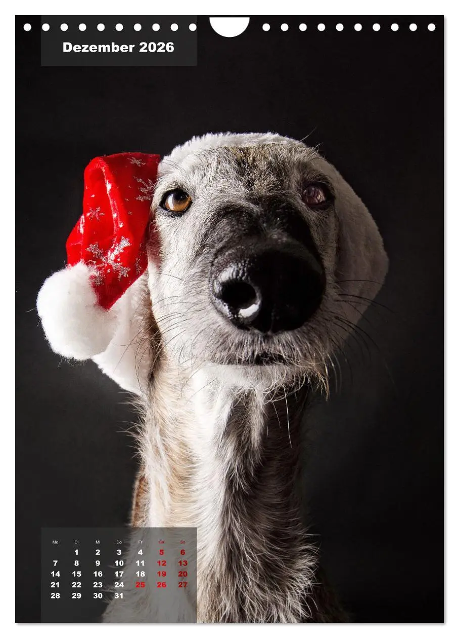 Bild: 9783516370614 | UNDERDOG - Windhundportraits (Wandkalender 2026 DIN A4 hoch),...