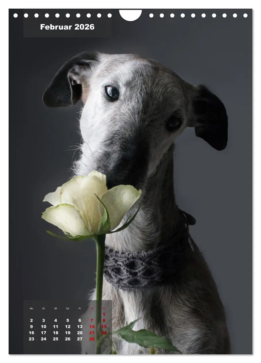 Bild: 9783516370614 | UNDERDOG - Windhundportraits (Wandkalender 2026 DIN A4 hoch),...