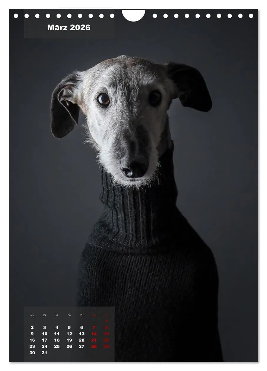 Bild: 9783516370614 | UNDERDOG - Windhundportraits (Wandkalender 2026 DIN A4 hoch),...