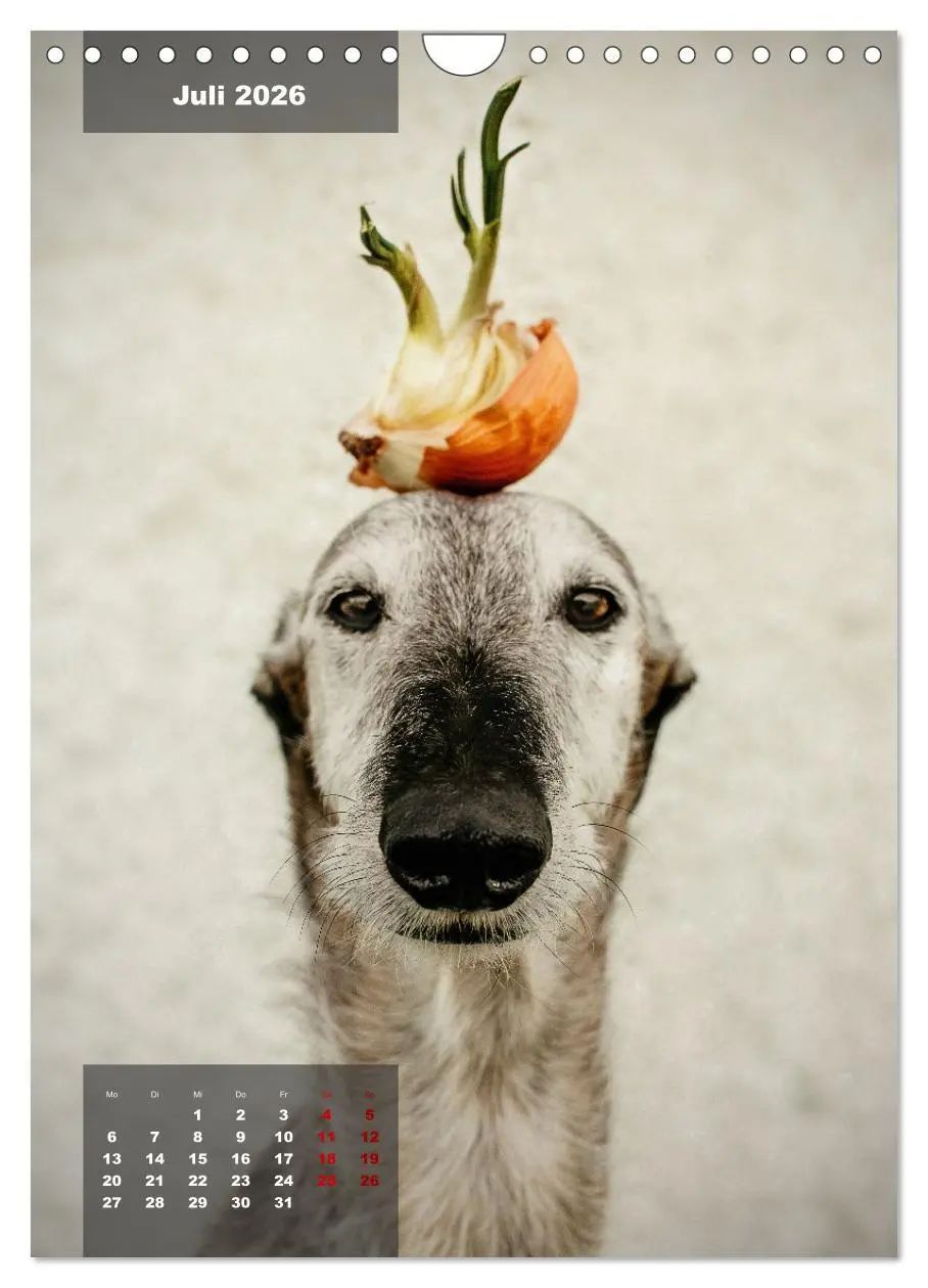 Bild: 9783516370614 | UNDERDOG - Windhundportraits (Wandkalender 2026 DIN A4 hoch),...