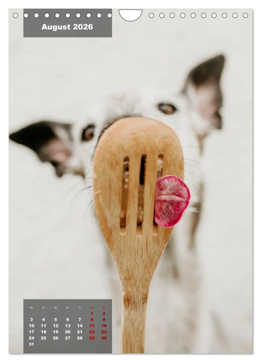 Bild: 9783516370614 | UNDERDOG - Windhundportraits (Wandkalender 2026 DIN A4 hoch),...