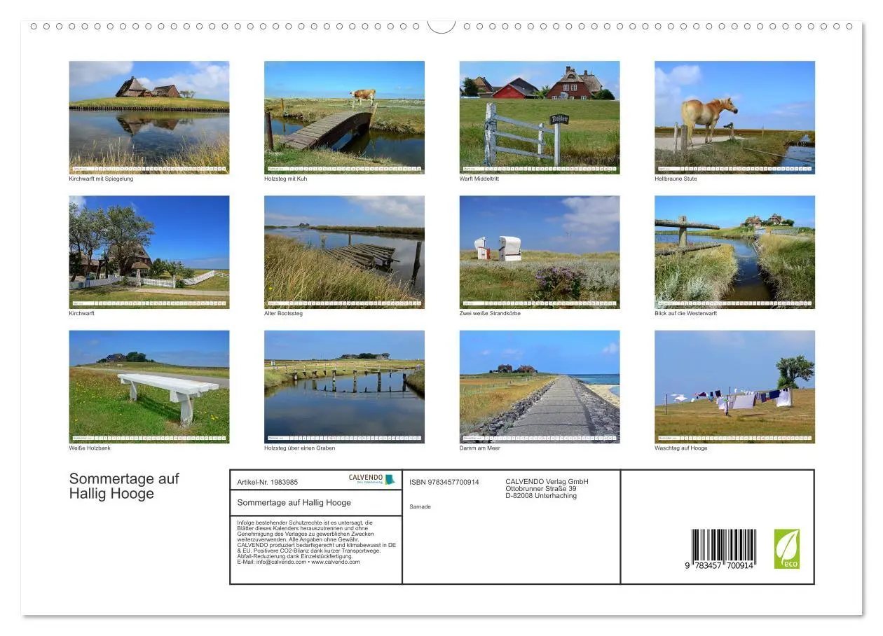 Bild: 9783457700914 | Sommertage auf Hallig Hooge (hochwertiger Premium Wandkalender 2026...
