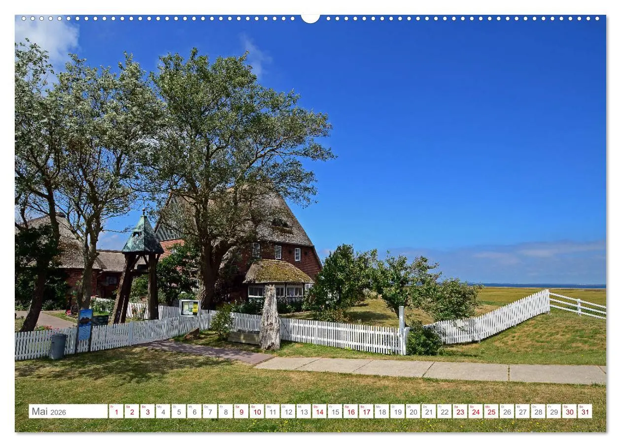 Bild: 9783457700914 | Sommertage auf Hallig Hooge (hochwertiger Premium Wandkalender 2026...