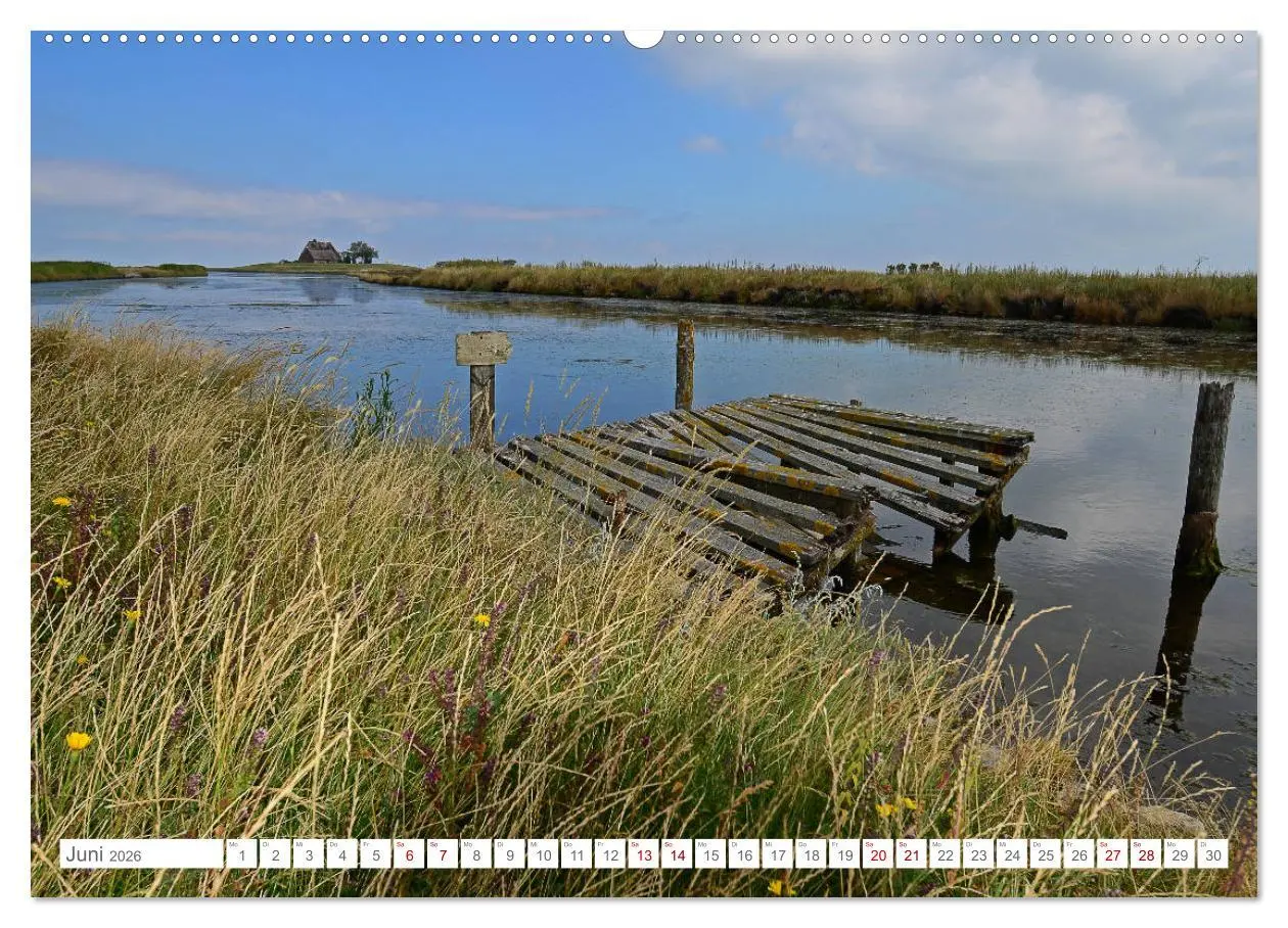 Bild: 9783457700914 | Sommertage auf Hallig Hooge (hochwertiger Premium Wandkalender 2026...