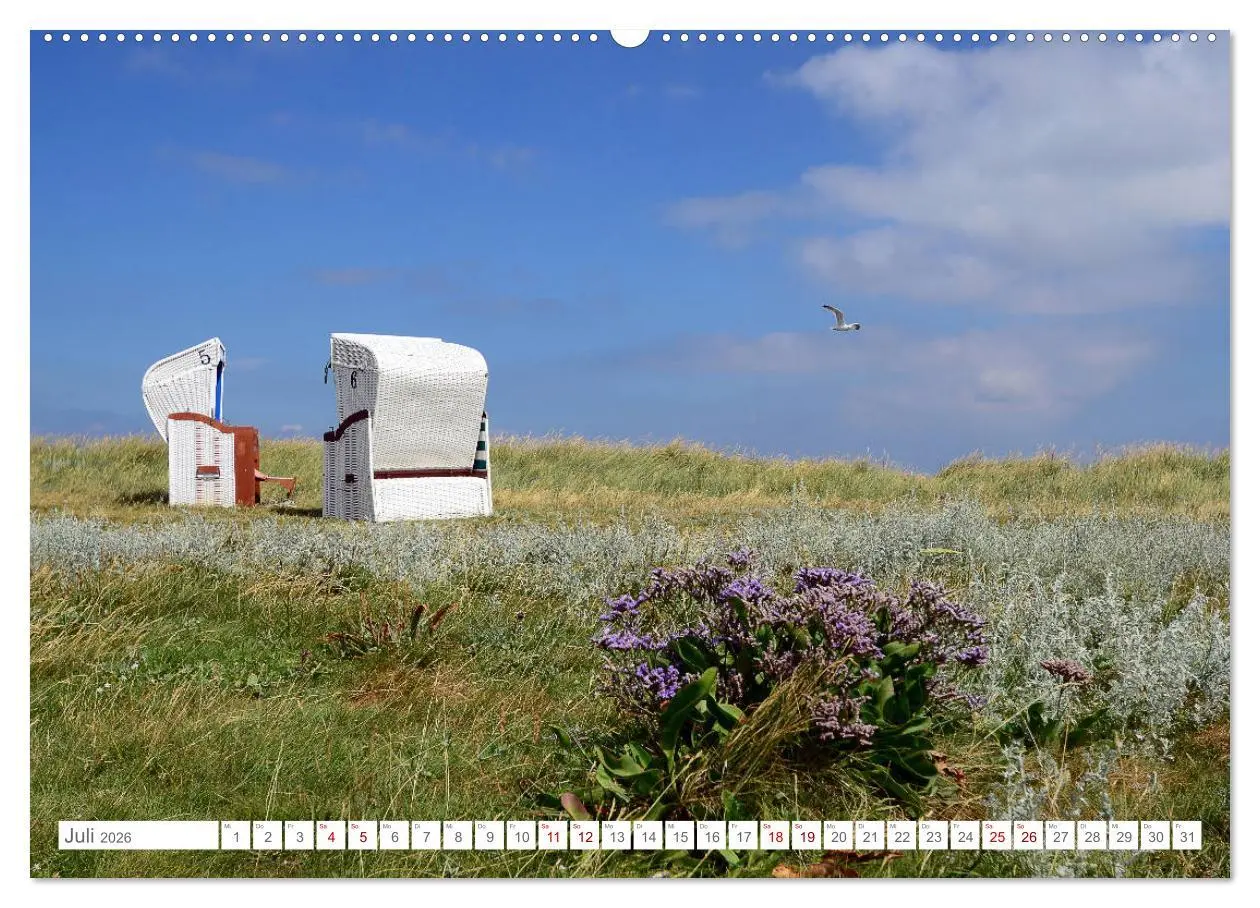 Bild: 9783457700914 | Sommertage auf Hallig Hooge (hochwertiger Premium Wandkalender 2026...