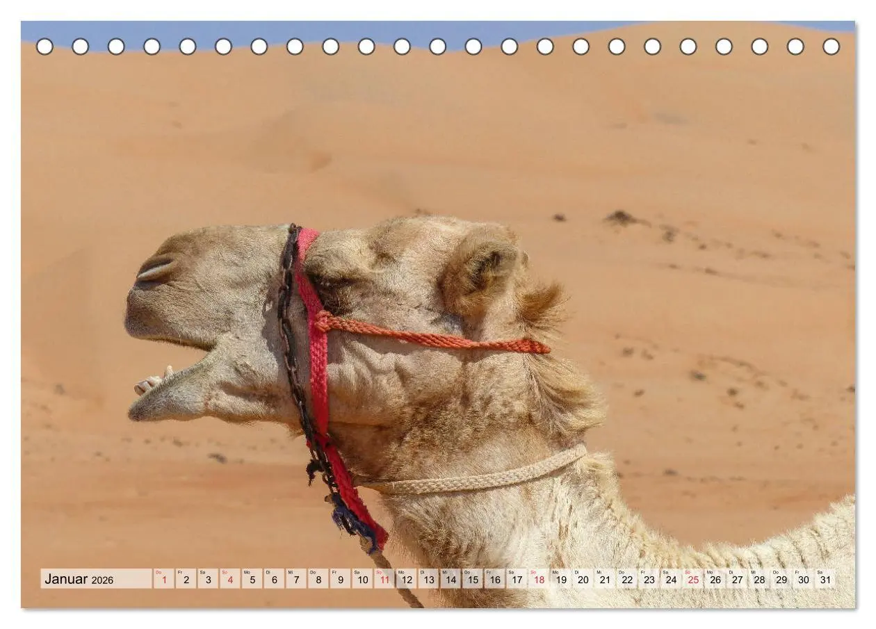 Bild: 9783457761014 | Oman - Zauberhafte Landschaften (Tischkalender 2026 DIN A5 quer),...