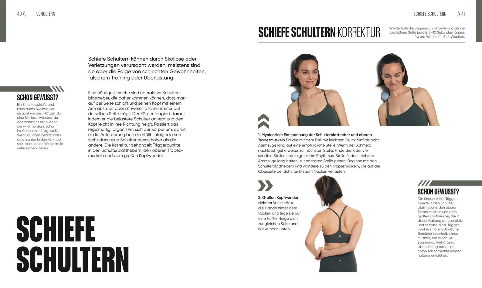 Bild: 9783831051014 | Mit Yoga Schmerzen lindern | Erin Motz | Taschenbuch | 192 S. | 2025