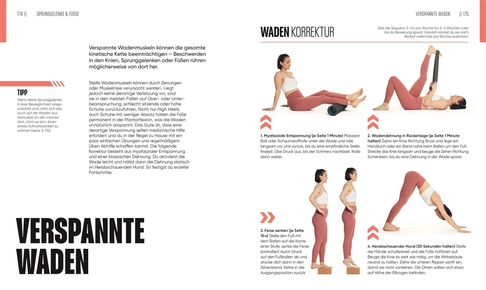 Bild: 9783831051014 | Mit Yoga Schmerzen lindern | Erin Motz | Taschenbuch | 192 S. | 2025