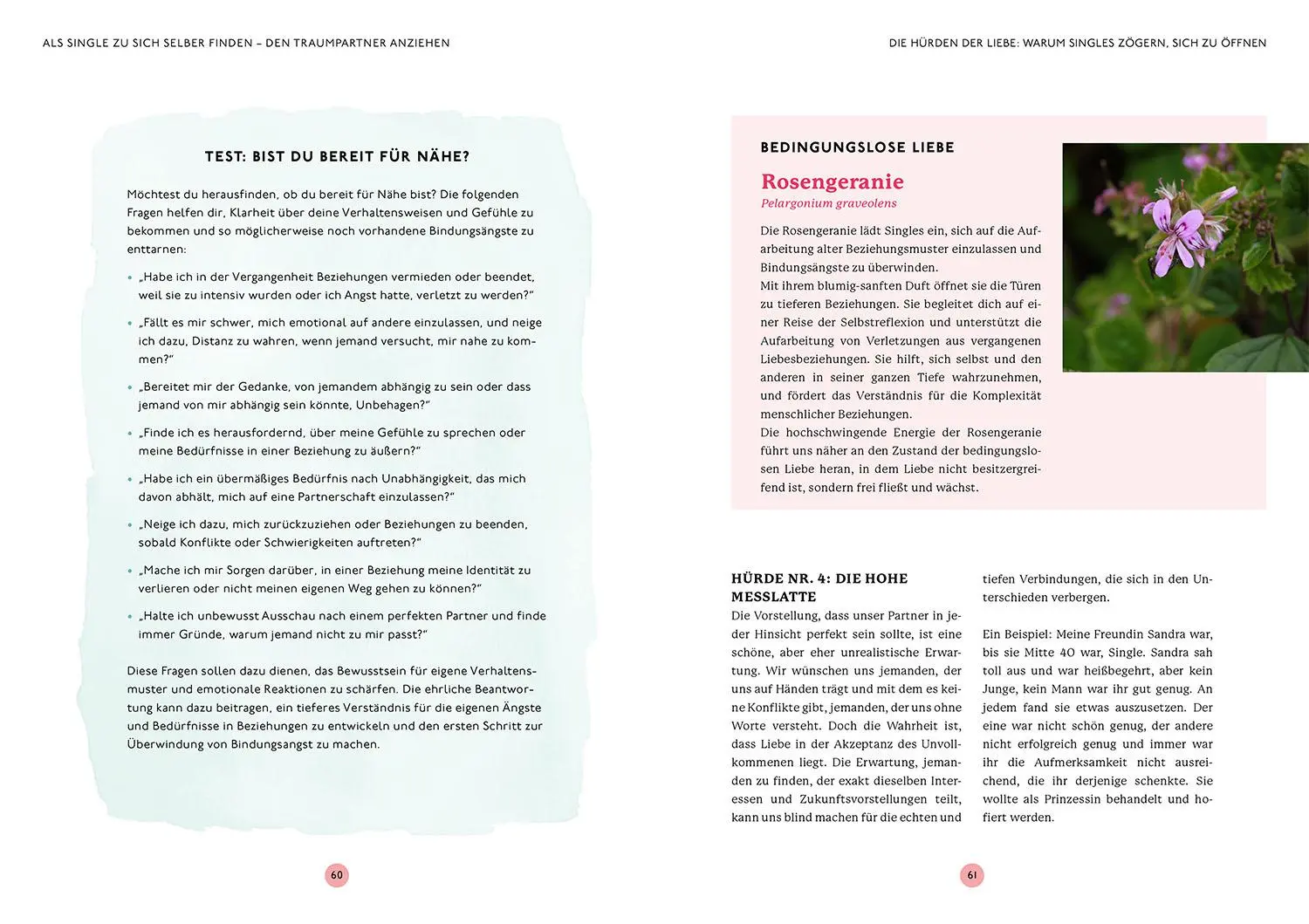 Bild: 9783968601014 | Aromatherapie für die Liebe | Diana Zenz | Taschenbuch | 144 S. | 2025