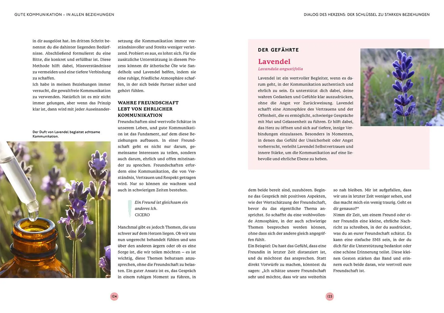 Bild: 9783968601014 | Aromatherapie für die Liebe | Diana Zenz | Taschenbuch | 144 S. | 2025