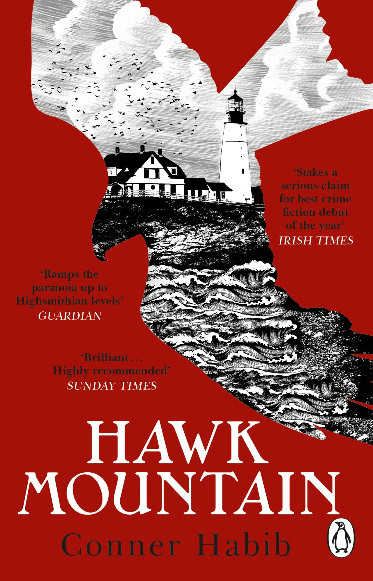 Cover: 9781804991114 | Hawk Mountain | Conner Habib | Taschenbuch | Englisch | 2023