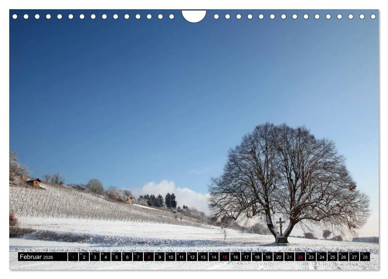 Bild: 9783457991114 | Impressionen aus Franken (Wandkalender 2026 DIN A4 quer), CALVENDO...