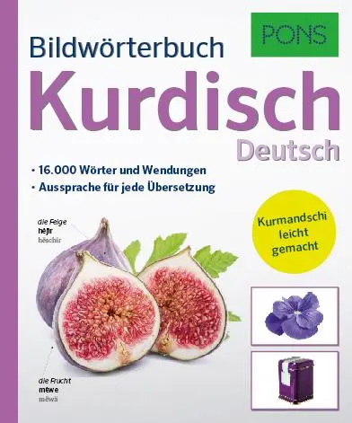 Cover: 9783125161214 | PONS Bildwörterbuch Kurdisch | PONS GmbH | Taschenbuch | 448 S. | 2017