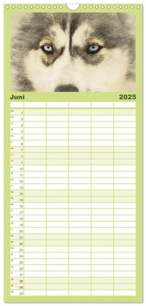 Bild: 9783457121214 | Familienplaner 2025 - Schlittenhunde 2025 mit 5 Spalten...