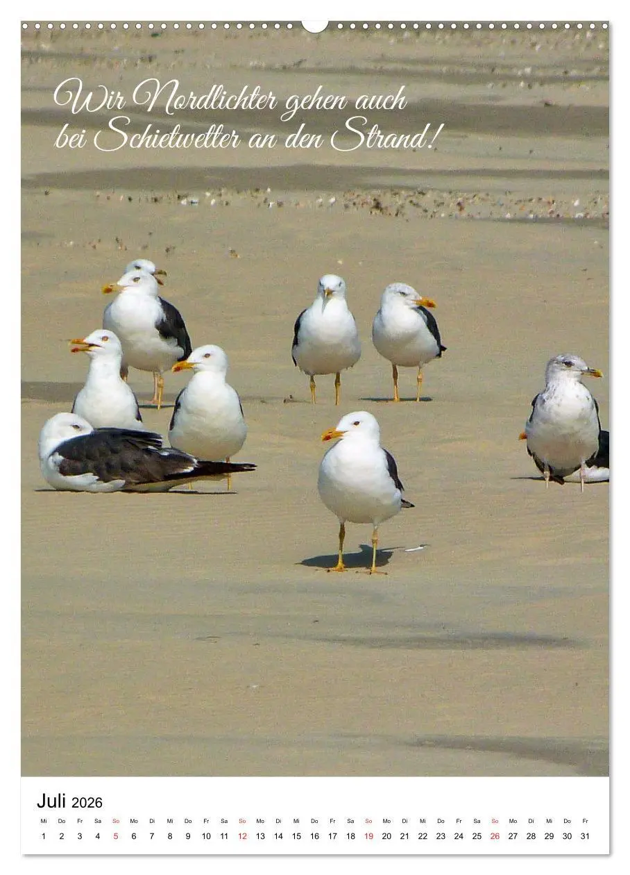 Bild: 9783516381214 | Facettenreiches Borkum (Wandkalender 2026 DIN A2 hoch), CALVENDO...