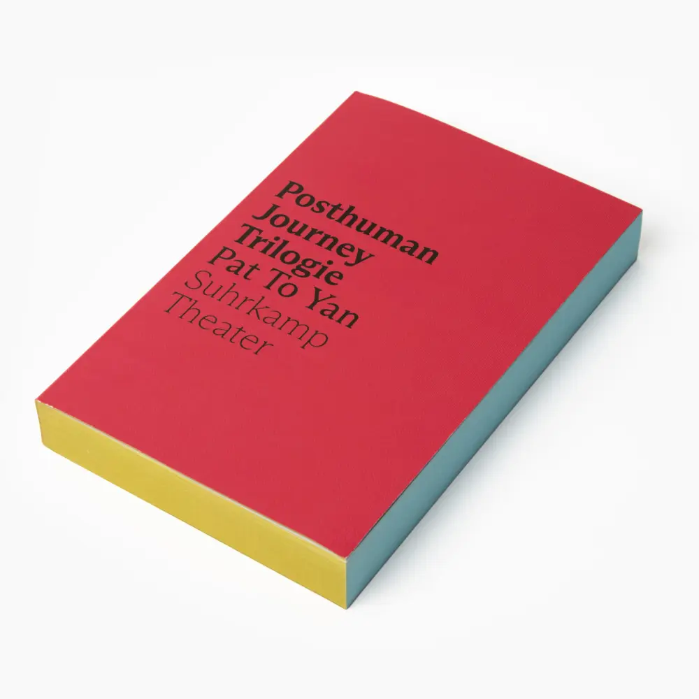 Bild: 9783518431214 | Posthuman Journey Trilogie | Pat To Yan | Taschenbuch | 298 S. | 2023