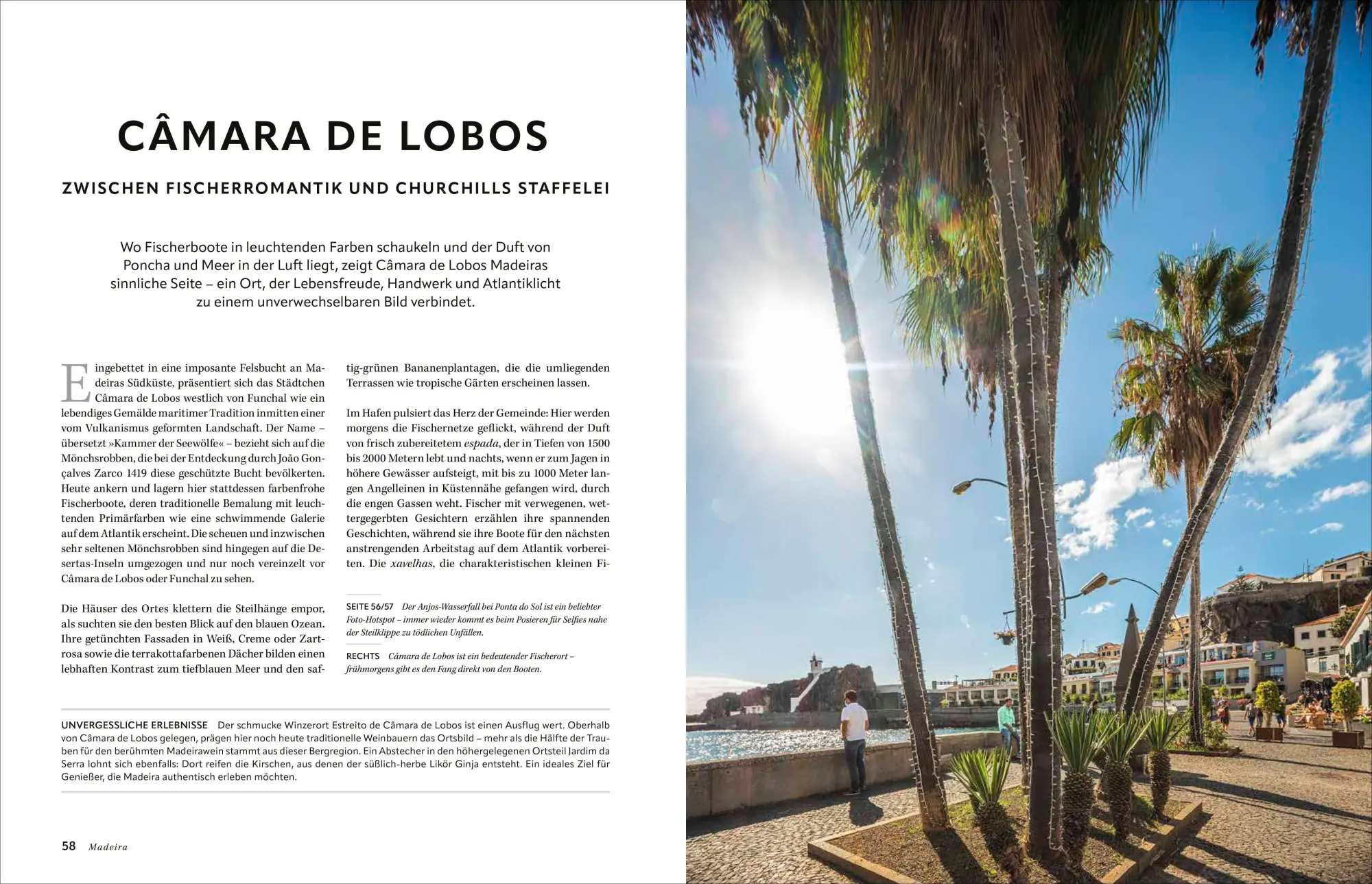 Bild: 9783987011214 | Madeira | Naturparadies auf steilen Klippen | Stefan Nimmesgern | Buch