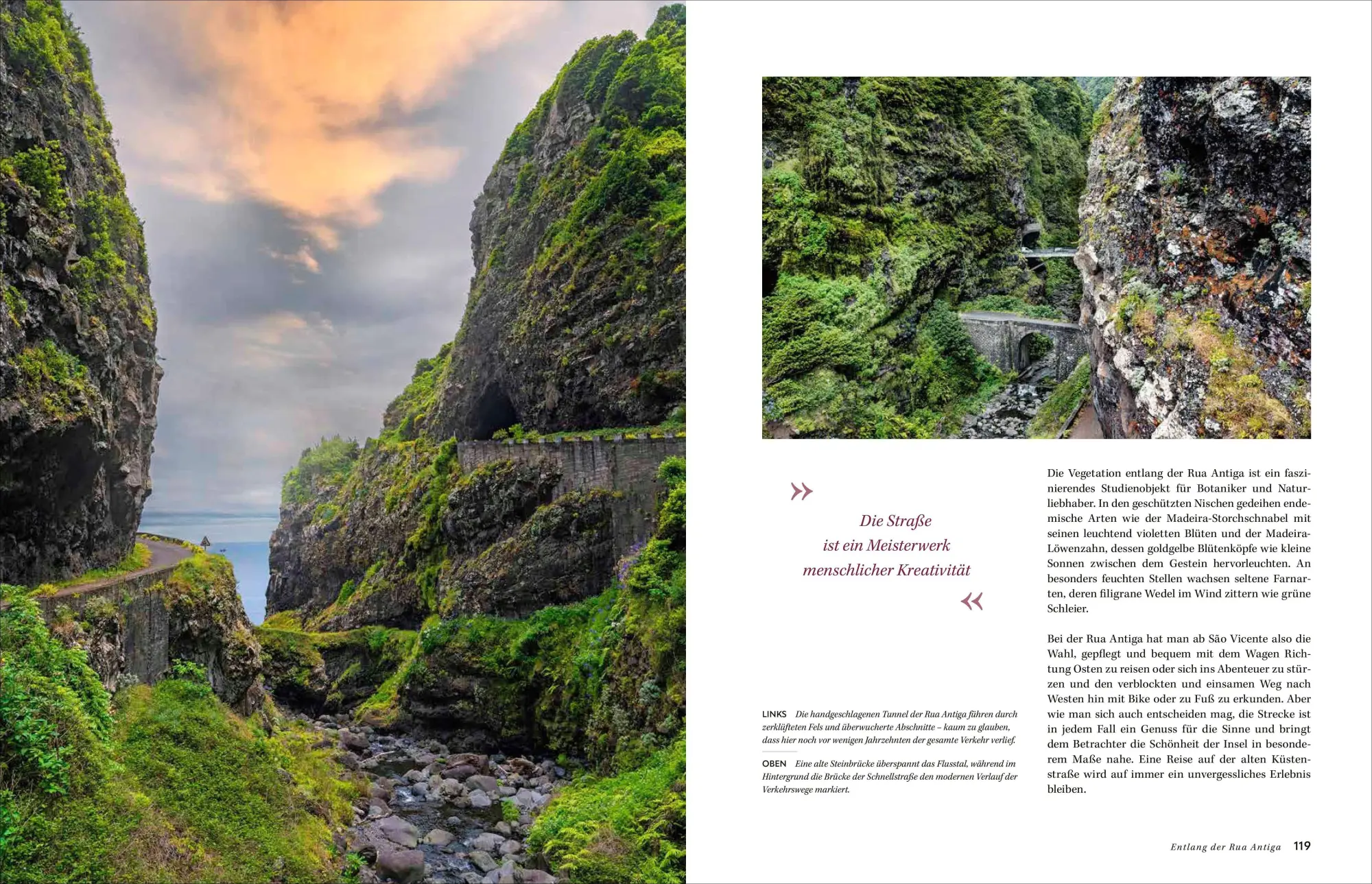 Bild: 9783987011214 | Madeira | Naturparadies auf steilen Klippen | Stefan Nimmesgern | Buch