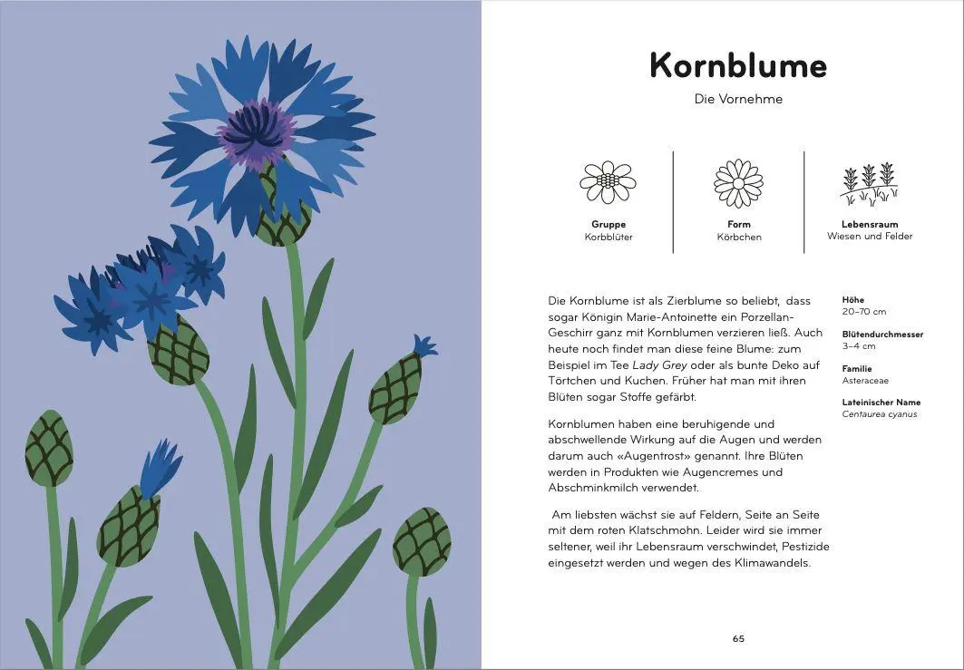 Bild: 9783039641314 | Florama | Entdecke und beobachte die kunterbunte Welt der Blumen