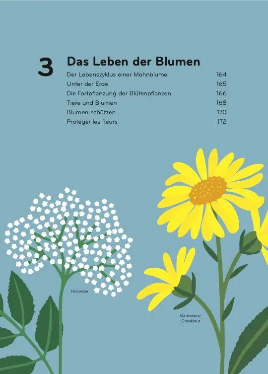 Bild: 9783039641314 | Florama | Entdecke und beobachte die kunterbunte Welt der Blumen
