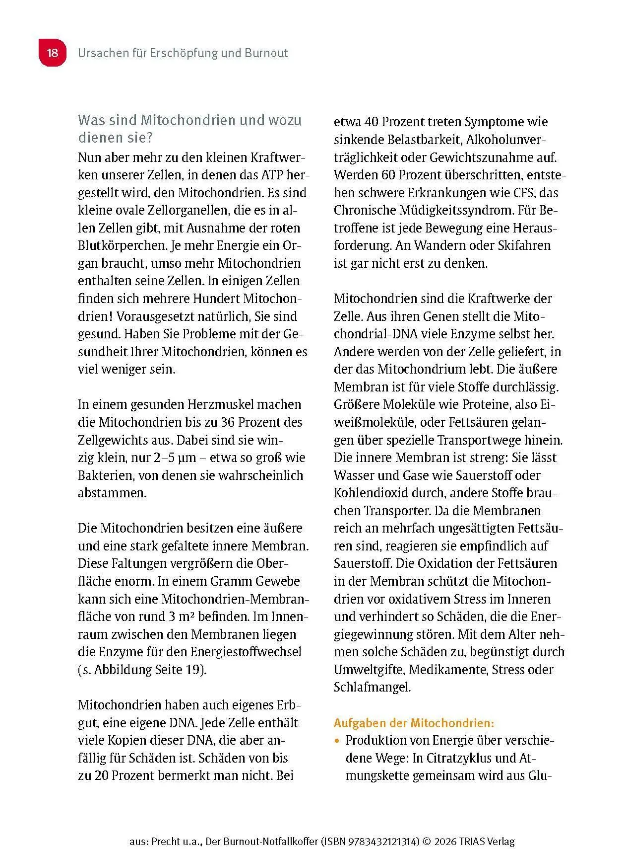 Bild: 9783432121314 | Der Burnout-Notfallkoffer | Anke Precht (u. a.) | Taschenbuch | 144 S.