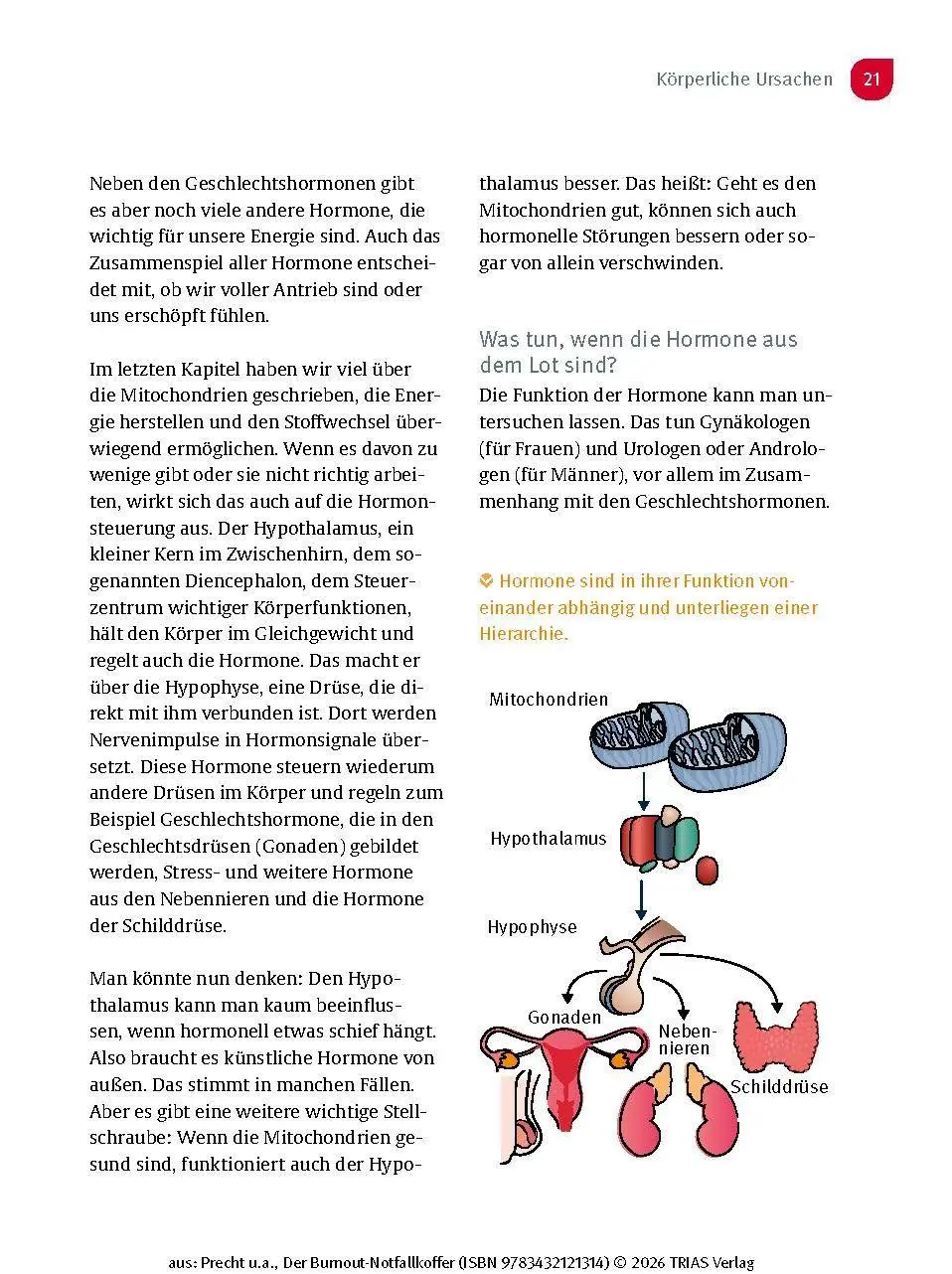 Bild: 9783432121314 | Der Burnout-Notfallkoffer | Anke Precht (u. a.) | Taschenbuch | 144 S.