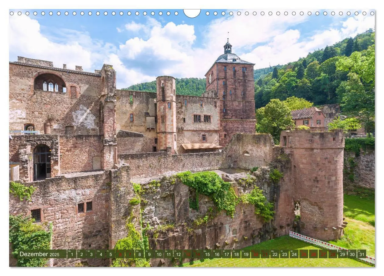 Bild: 9783435331314 | Heidelberger Neckarzauber (Wandkalender 2025 DIN A3 quer), CALVENDO...