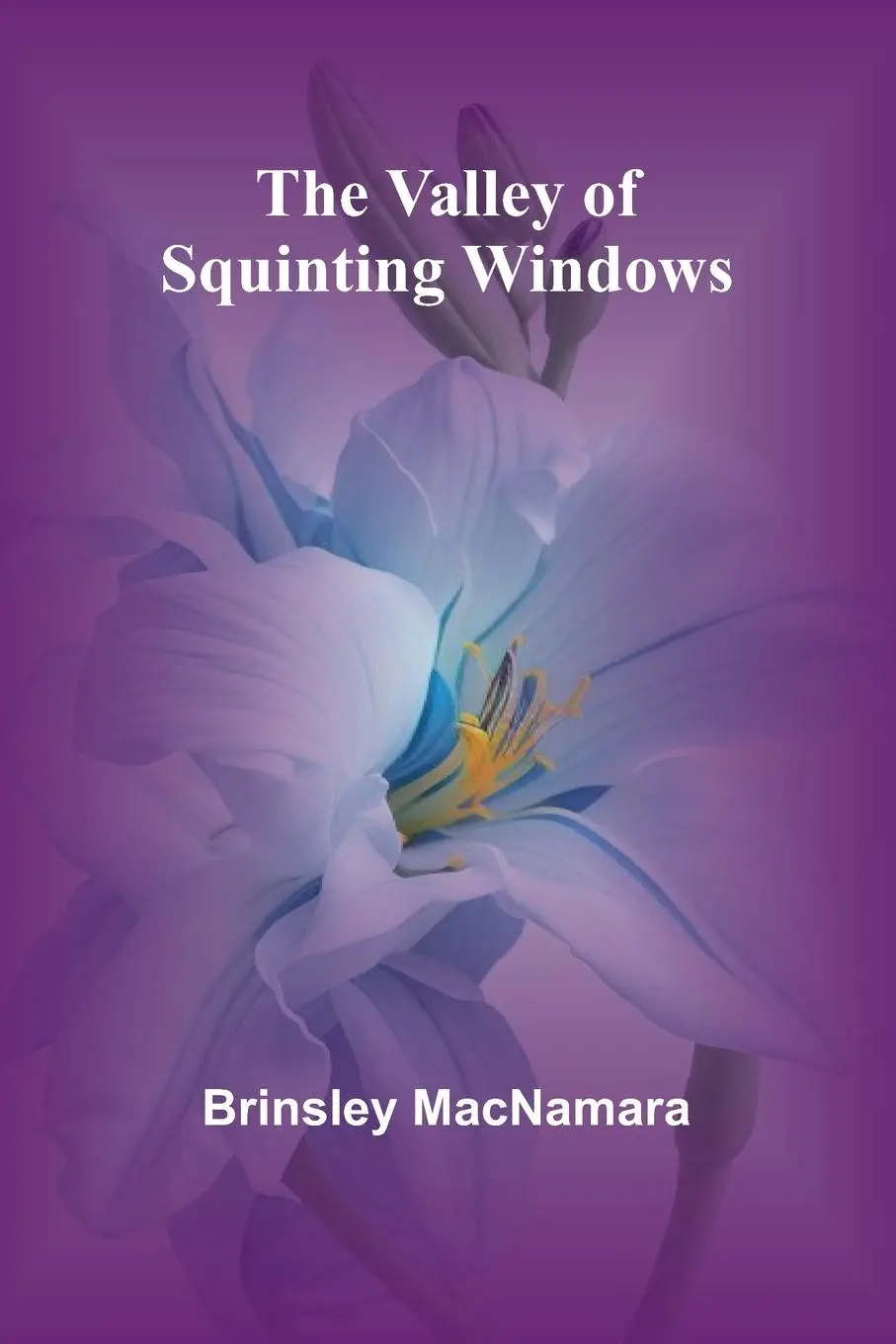 Cover: 9789362091314 | The Valley of Squinting Windows | Brinsley Macnamara | Taschenbuch