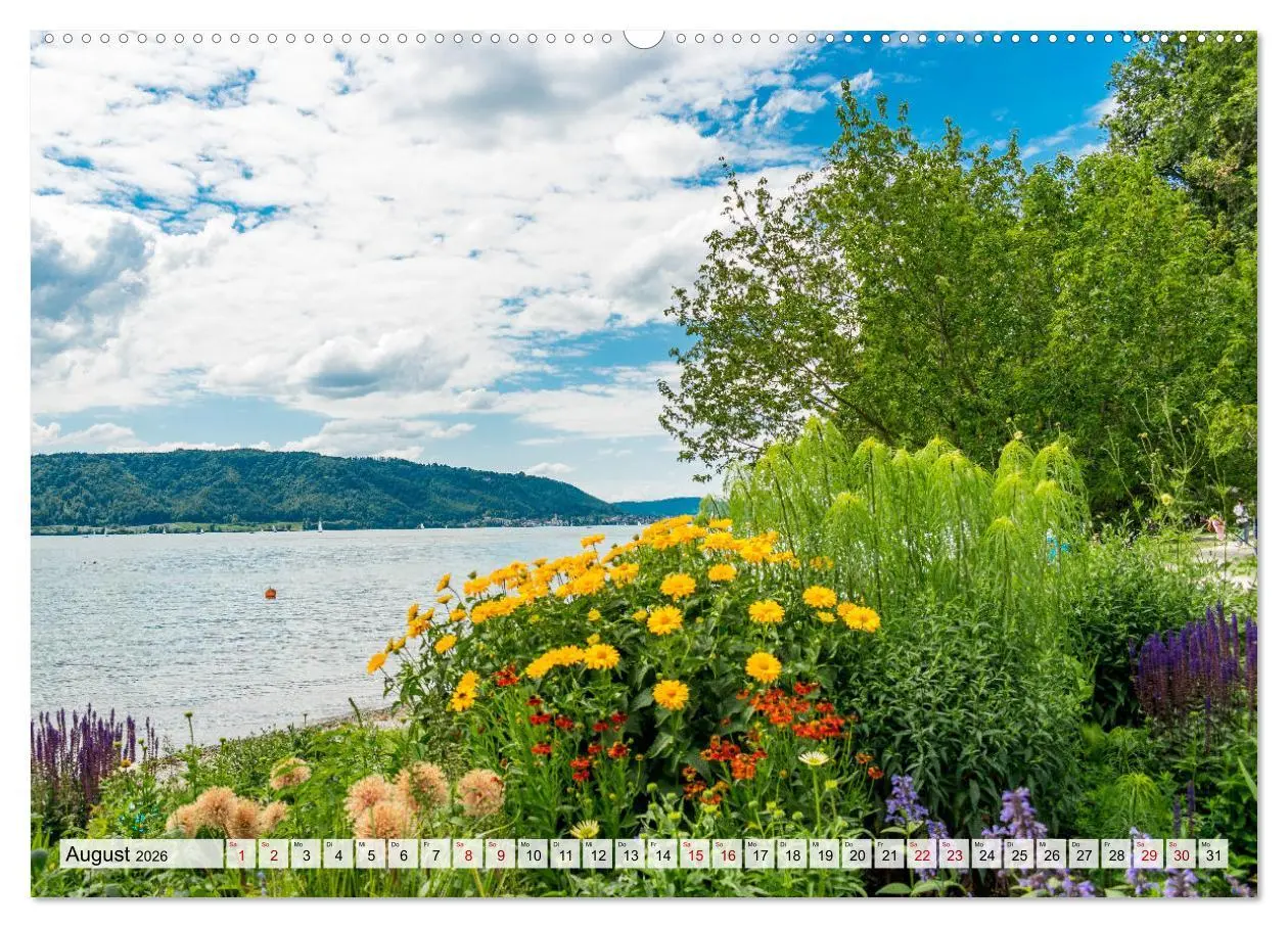 Bild: 9783457641514 | Traumhafter Bodensee (Wandkalender 2026 DIN A2 quer), CALVENDO...