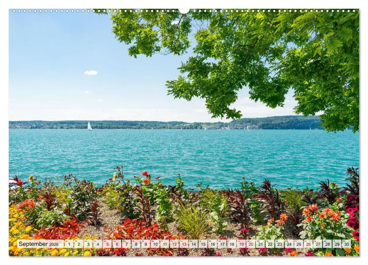 Bild: 9783457641514 | Traumhafter Bodensee (Wandkalender 2026 DIN A2 quer), CALVENDO...