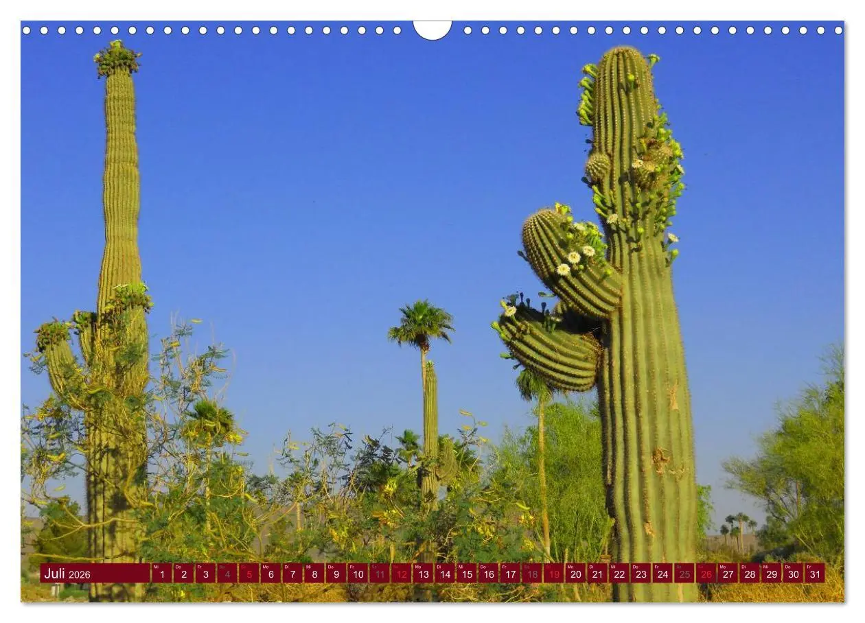 Bild: 9783516111514 | Arizona ¿ Impressionen (Wandkalender 2026 DIN A3 quer), CALVENDO...